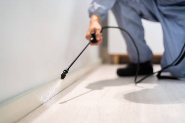 Licensed Termite Control service in Philadelphia, PA - Show Me Pest Control
